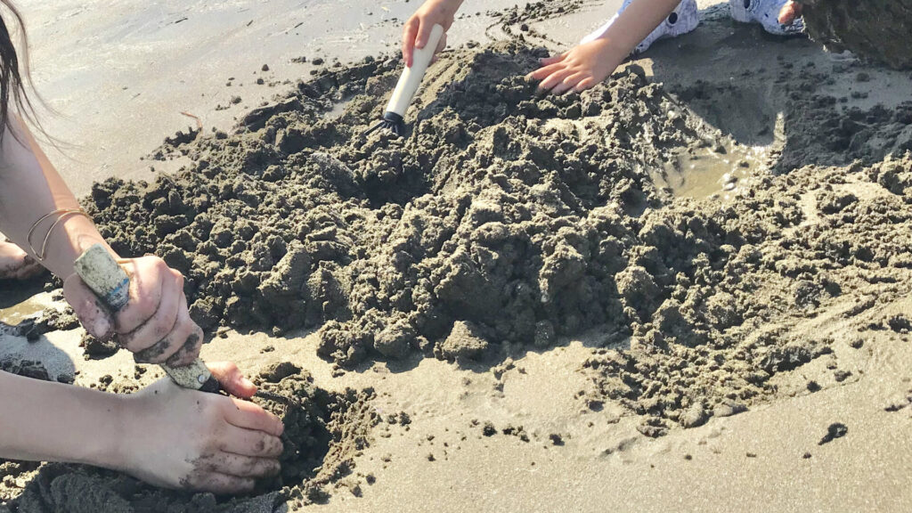 潮干狩りで砂を掘る