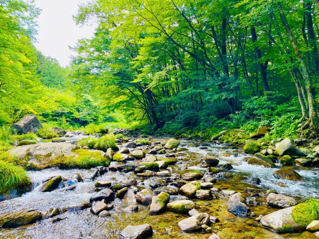 木の俣渓谷での川遊び