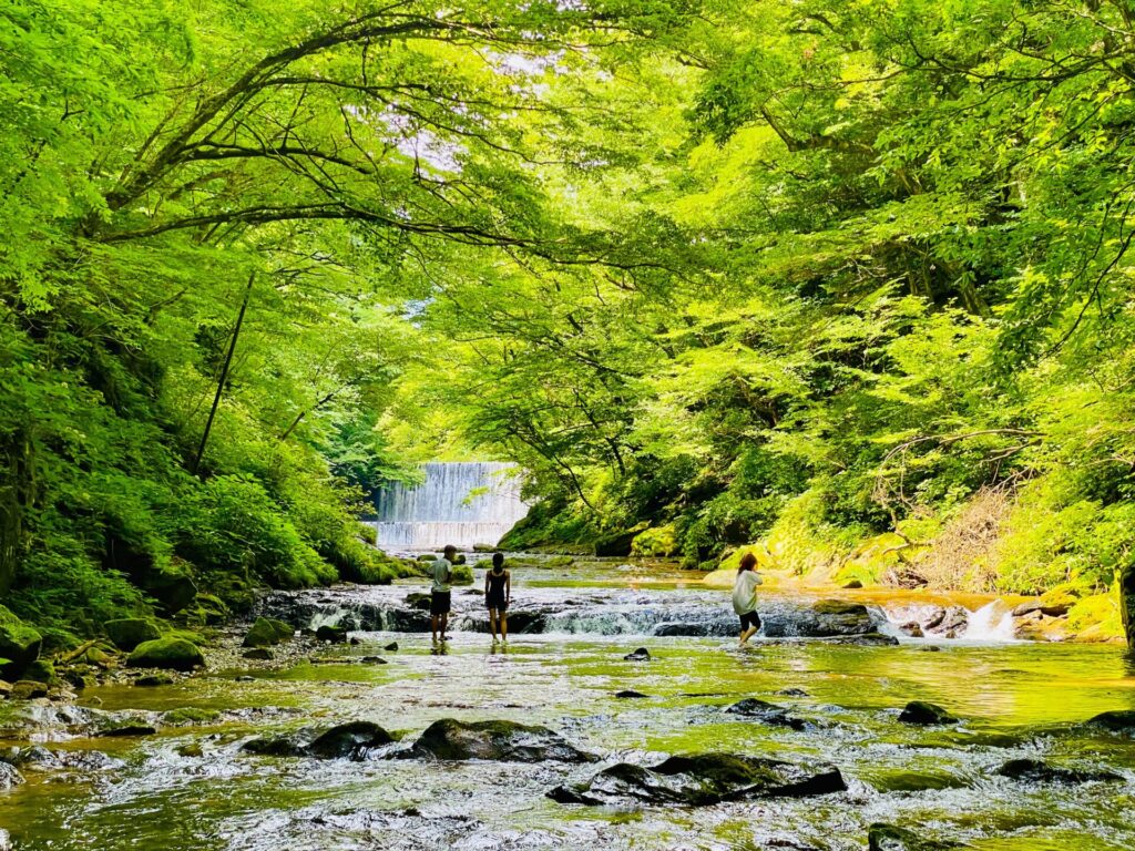 木の俣渓谷での川遊び