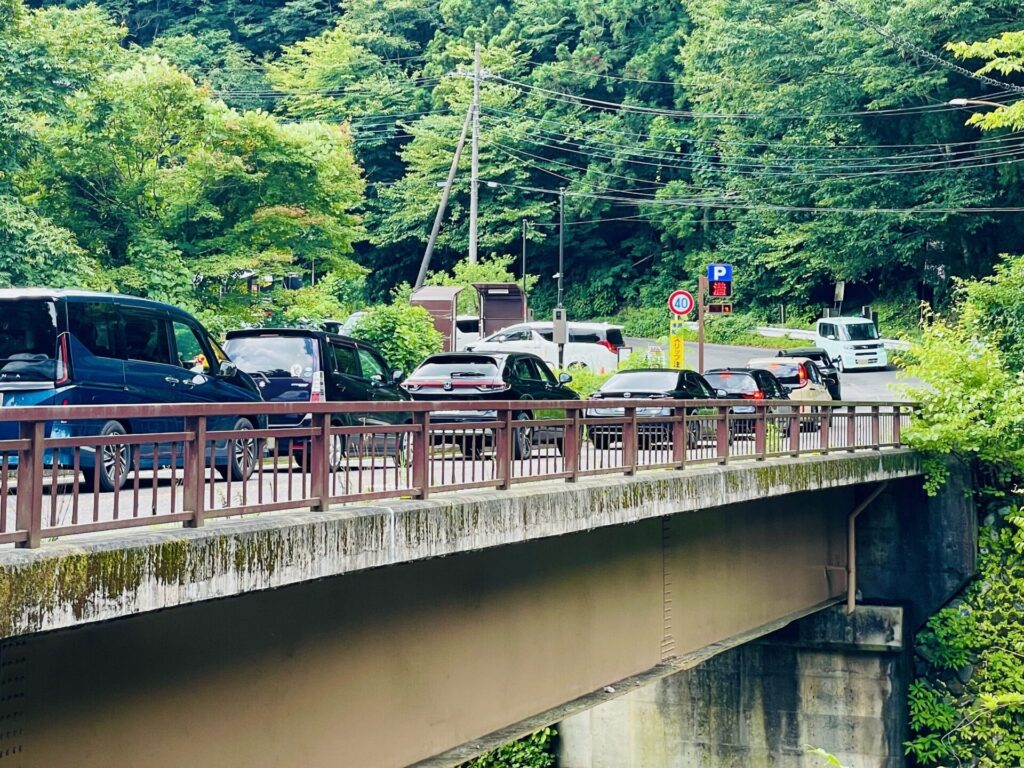 木の俣渓谷での川遊び