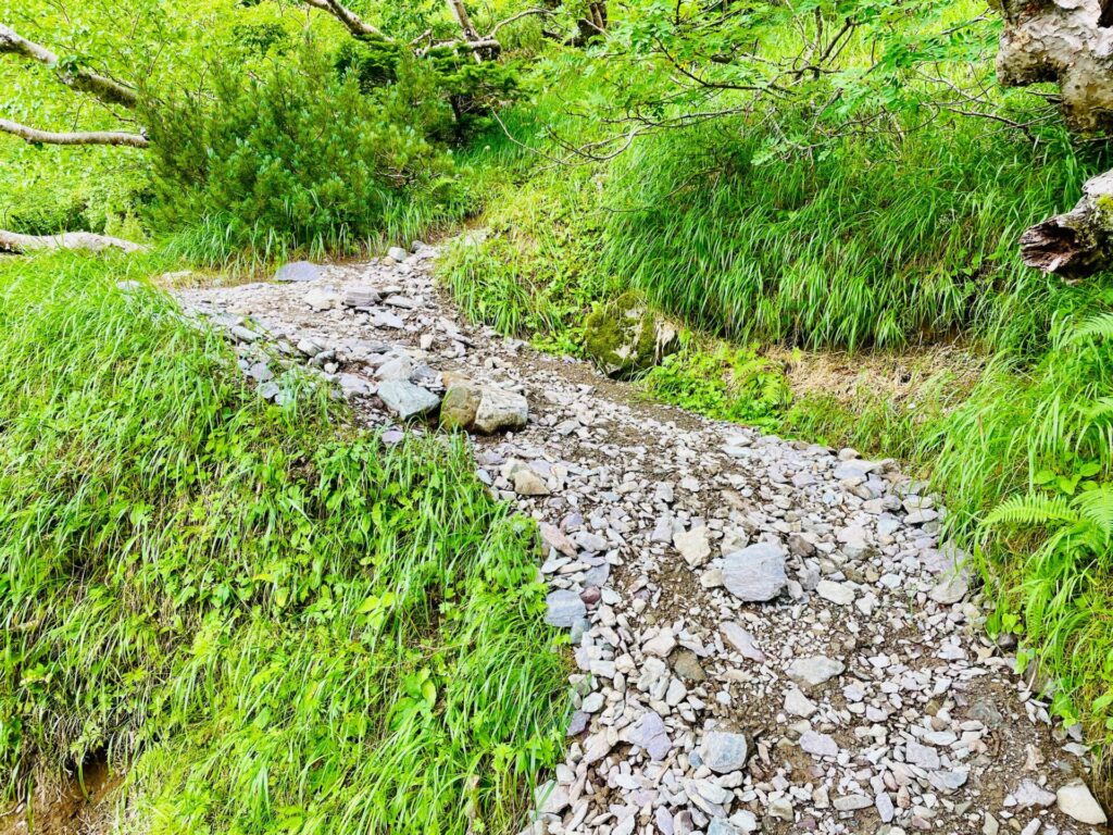 北岳の難易度と初心者向けルート