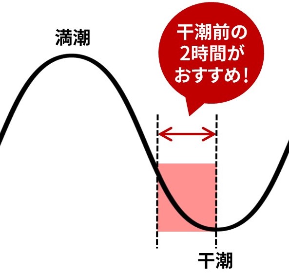 大洗サンビーチのリフレクションビーチの時間帯