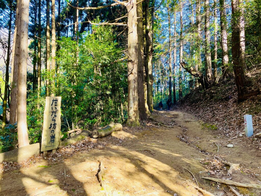 家族で低山登山：栃木・羽黒山のロウバイ鑑賞コース！駐車場やおすすめスポット紹介