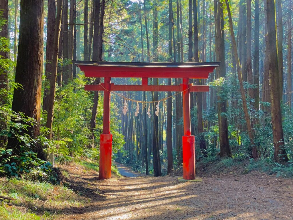 家族で低山登山：栃木・羽黒山のロウバイ鑑賞コース！駐車場やおすすめスポット紹介