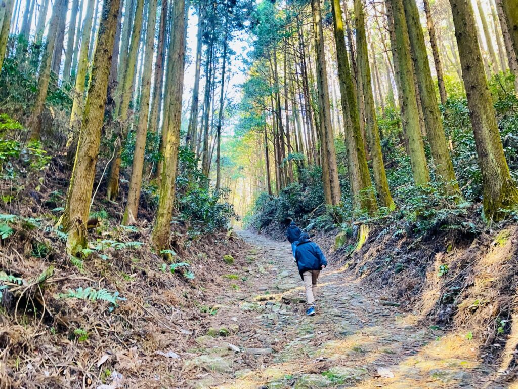 家族で低山登山：栃木・羽黒山のロウバイ鑑賞コース！駐車場やおすすめスポット紹介