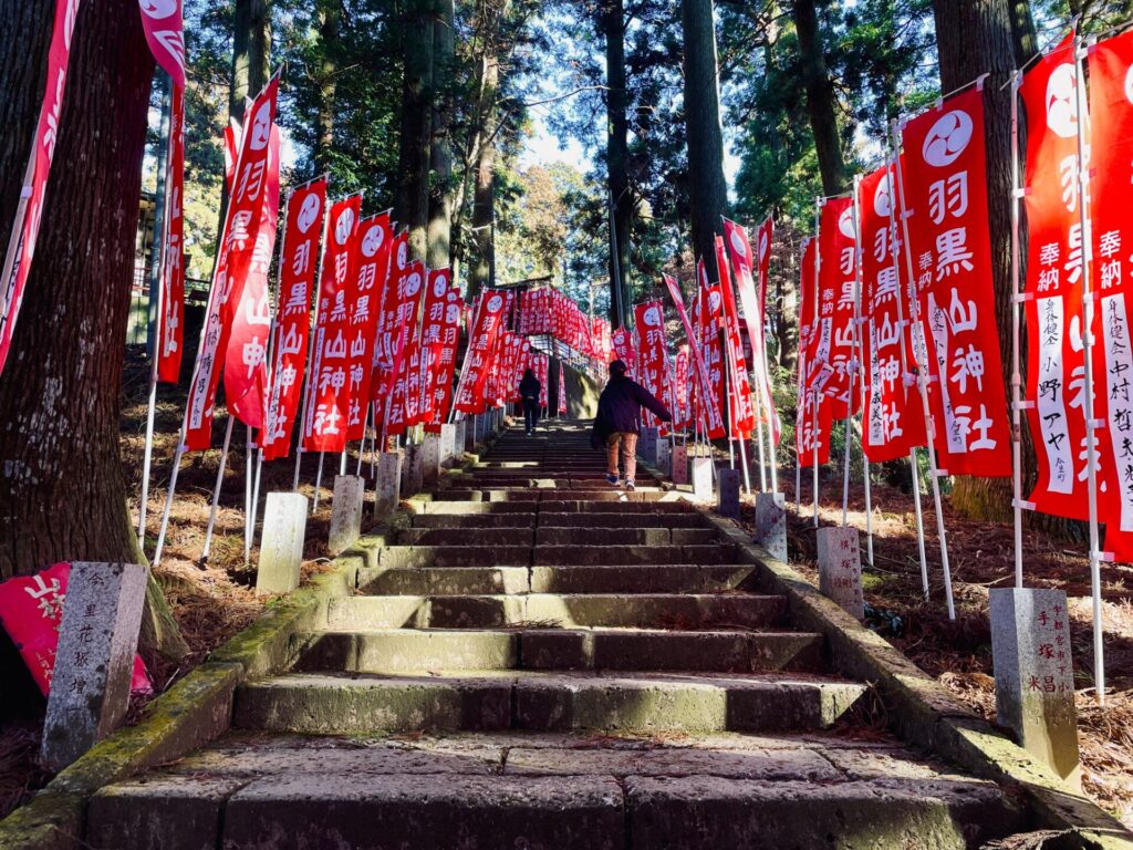 家族で低山登山：栃木・羽黒山のロウバイ鑑賞コース！駐車場やおすすめスポット紹介