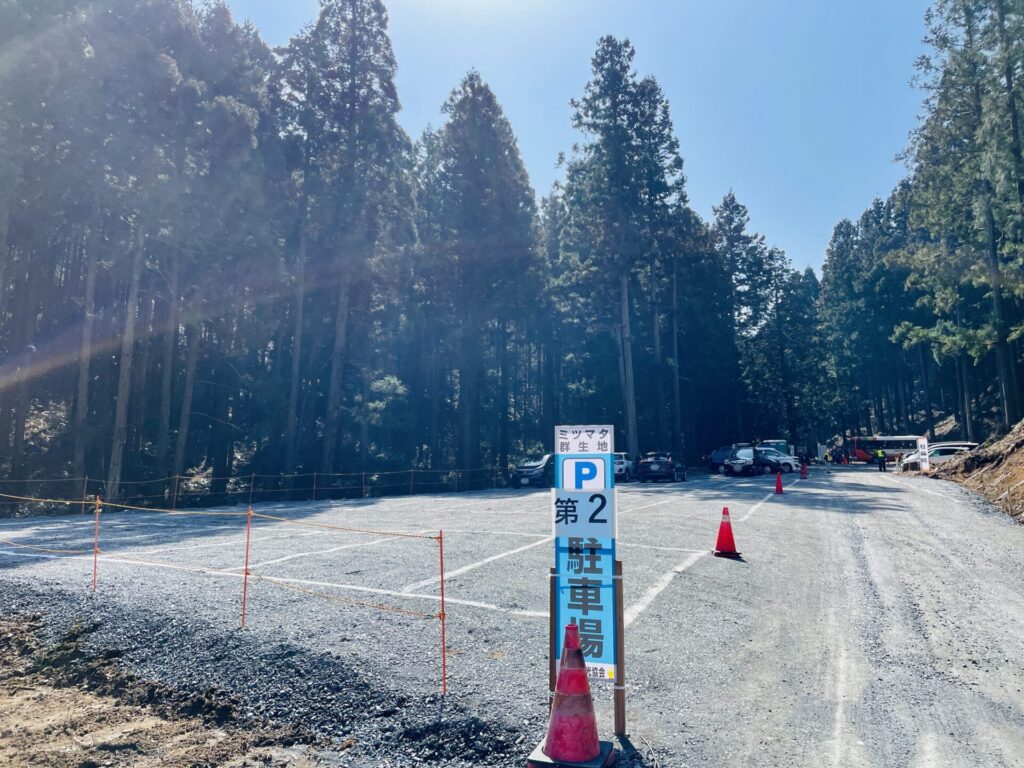 焼森山のミツマタ群生地のアクセスと駐車場について