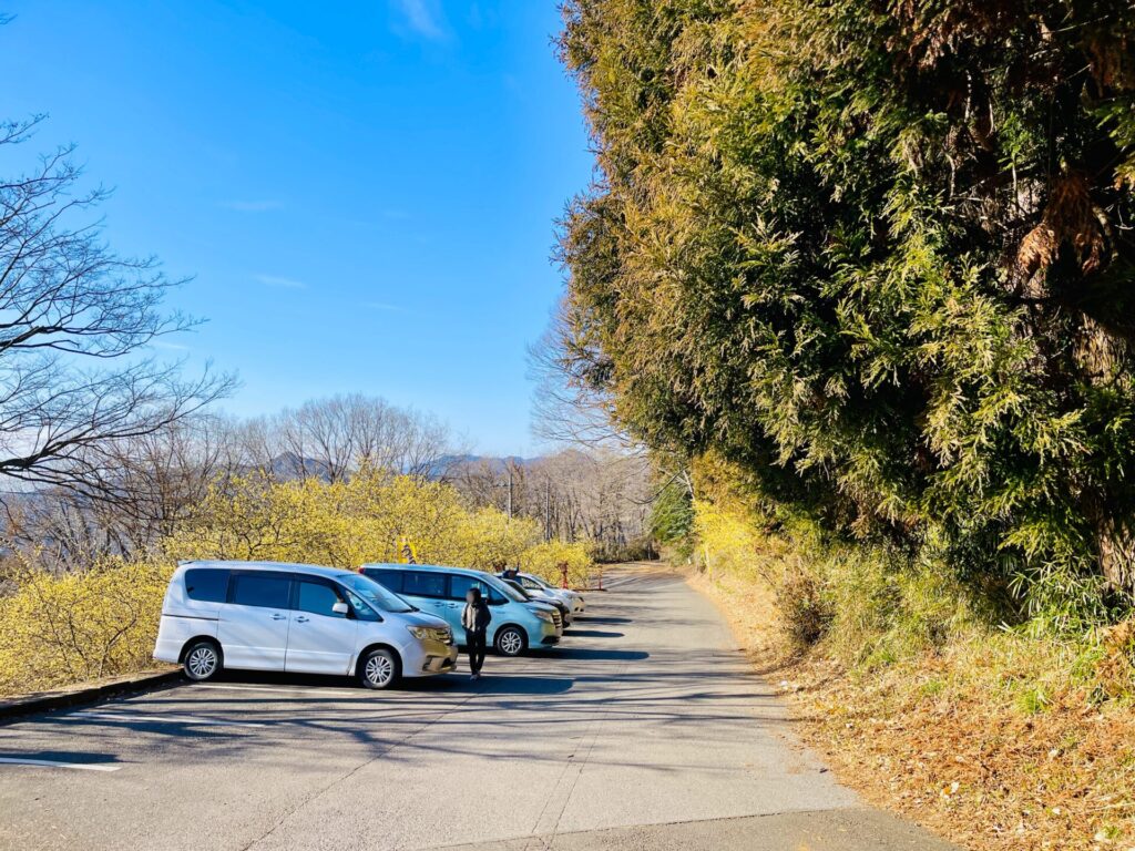 家族で低山登山：栃木・羽黒山のロウバイ鑑賞コース！駐車場やおすすめスポット紹介