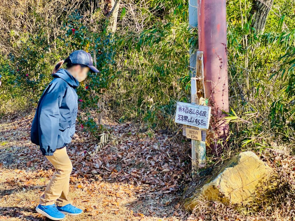 家族で低山登山：栃木・羽黒山のロウバイ鑑賞コース！駐車場やおすすめスポット紹介