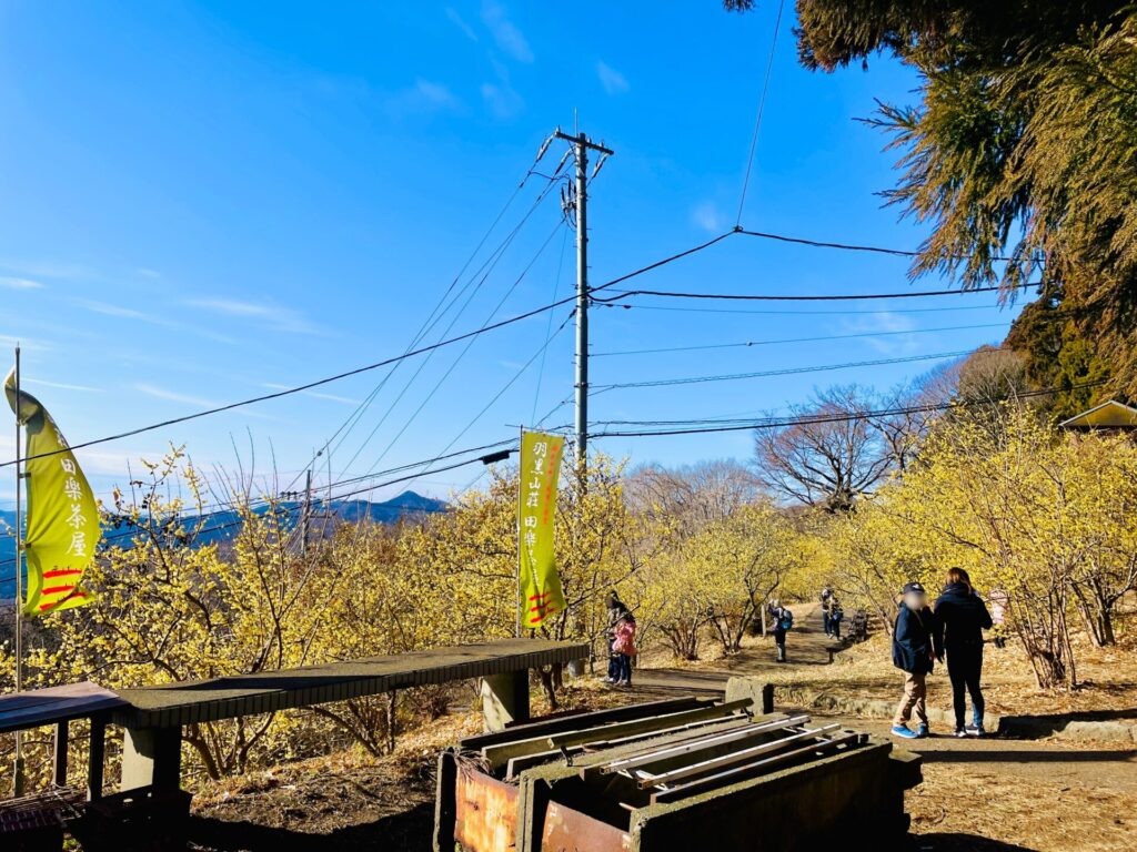 家族で低山登山：栃木・羽黒山のロウバイ鑑賞コース！駐車場やおすすめスポット紹介