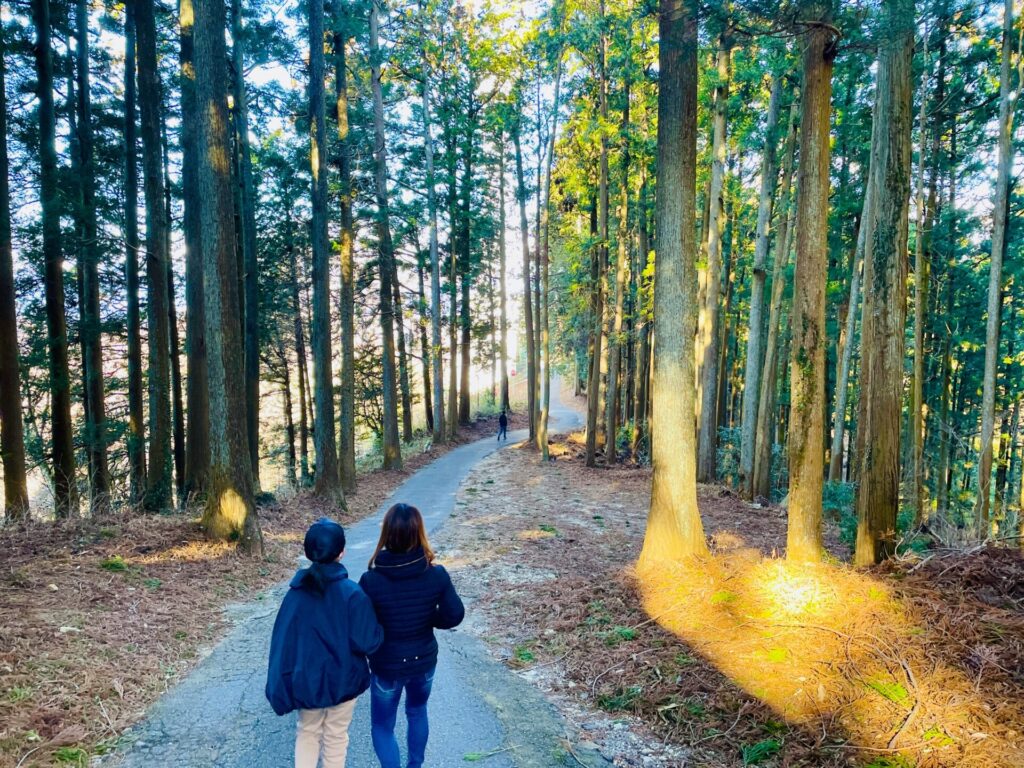 家族で低山登山：栃木・羽黒山のロウバイ鑑賞コース！駐車場やおすすめスポット紹介