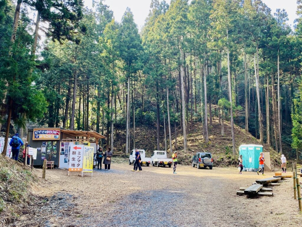 焼森山のミツマタ群生地のアクセスと駐車場について