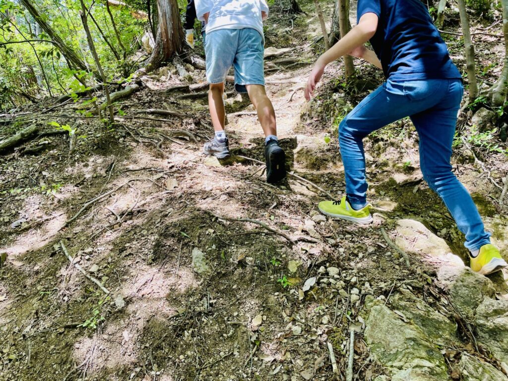 男抱山の登山コース