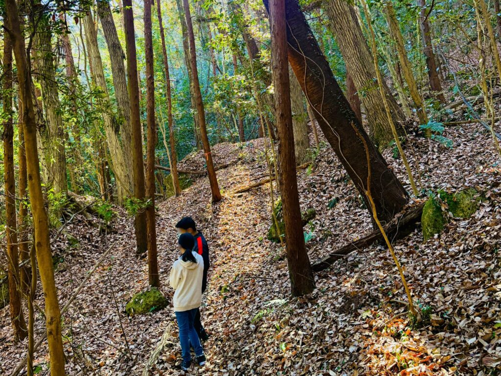 鹿沼の岩山の登山コース