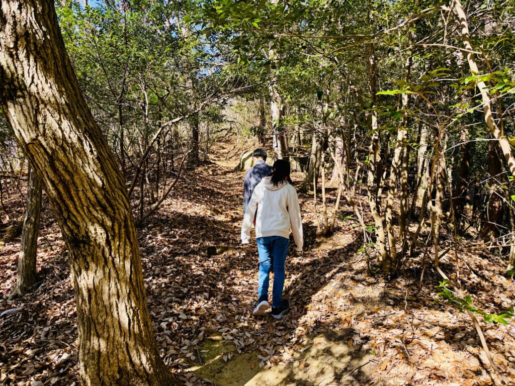 鹿沼の岩山の登山コース