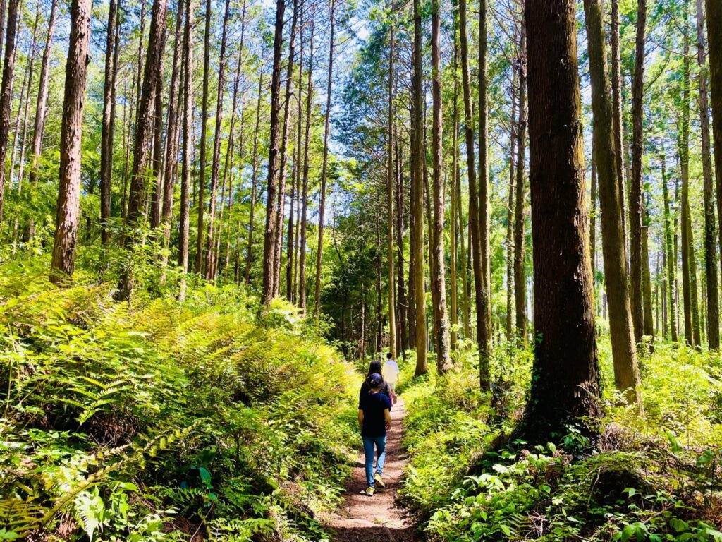 男抱山の登山コース