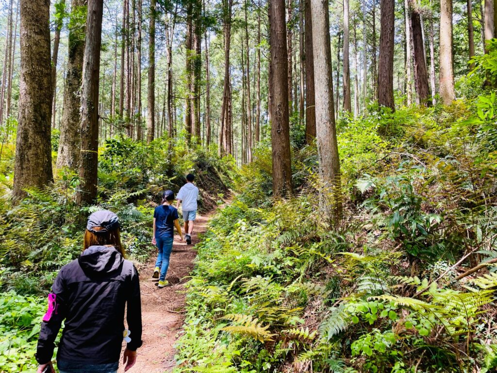 男抱山の登山コース