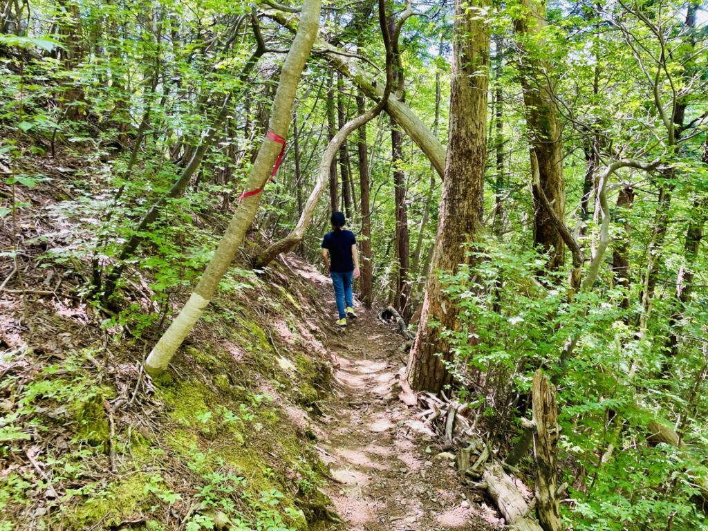 男抱山の登山コース